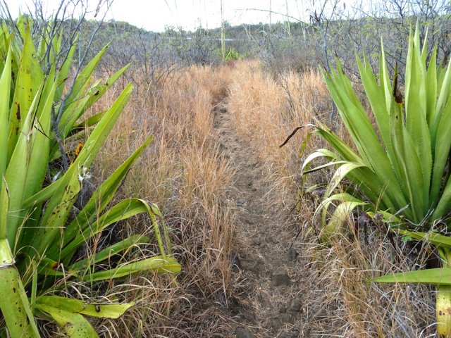 Le sol est bien caillouteux pour les vélos