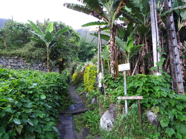 Début de l'agréable sentier du Gymnase