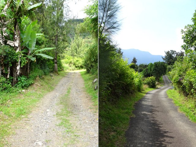 Le Chemin de Terre Plate et le Chemin Manouilh