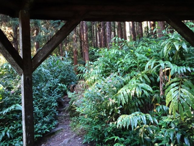 Première halte au kiosque. Y chercher le sentier du point de vue