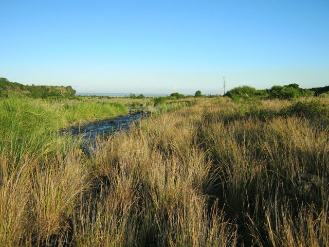Le sentier le long des berges herbeuses