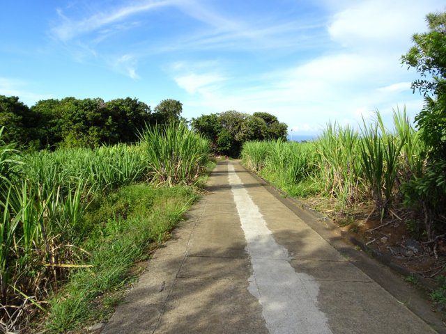 La Rue des Jacques entre canne et habitations