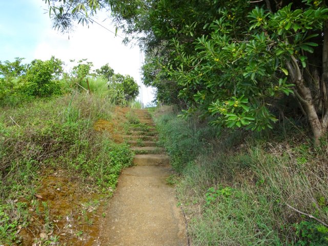 Courte portion de marches entre pistes et routes