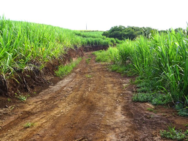 La terre rouge peut être glissante par temps de pluie