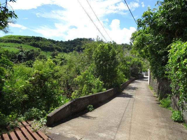 L'agréable Chemin Joseph Pothin