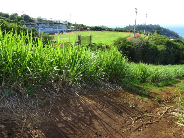 On contourne le stade qu'on retrouvera très vite