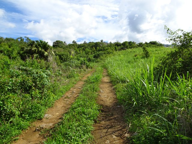 La piste à ne pas manquer à la fin de la Rue des Cryptomerias