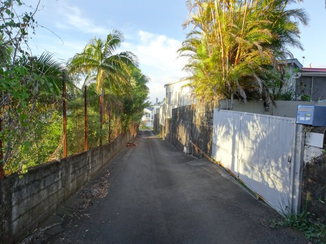 Emprunter le raccourci au début de l'Impasse des Camélias