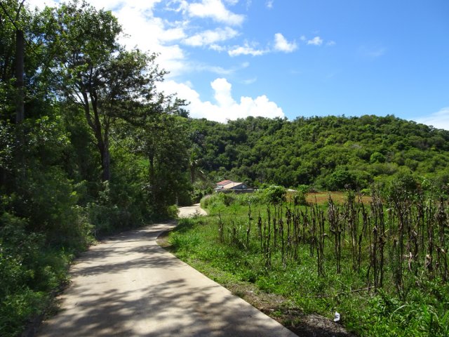 La fin du Chemin Joseph Pothin au pied du Piton Rosille