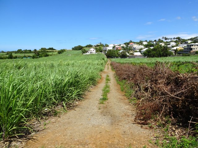 L'Allée des Azalées permet de retrouver la route principale