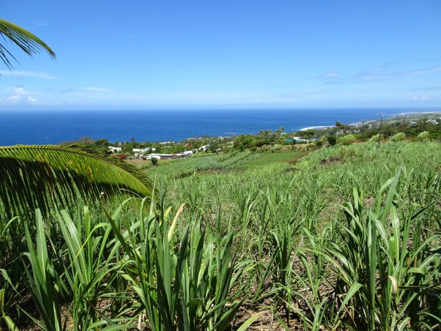 Point de vue vers le lagon de Grands Bois
