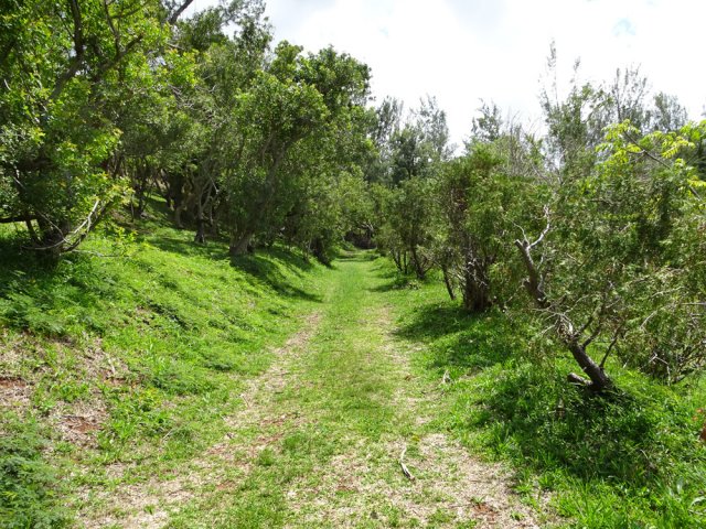 La piste herbeuse menant au cimetière