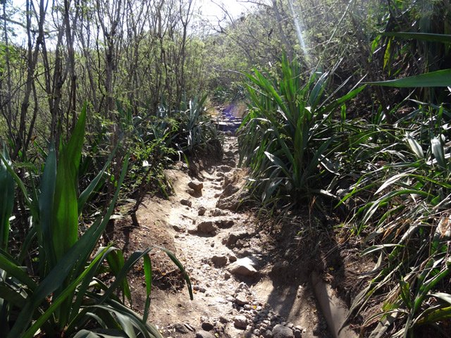 Le sentier de retour, caillouteux et toujours surchauffé
