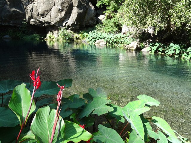 L'eau claire incite à la baignade mais gare aux rochers de la falaise