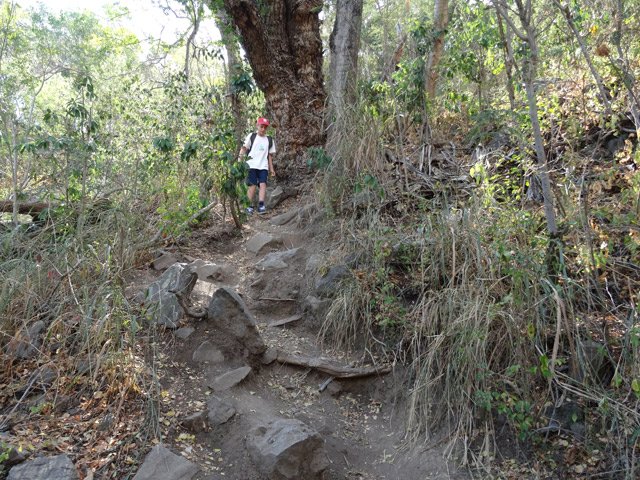La descente, très raide pour rejoindre le Bassin des Aigrettes