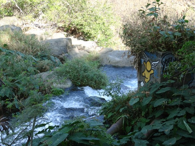 On arrive à la ravine avant de partir vers l'amont