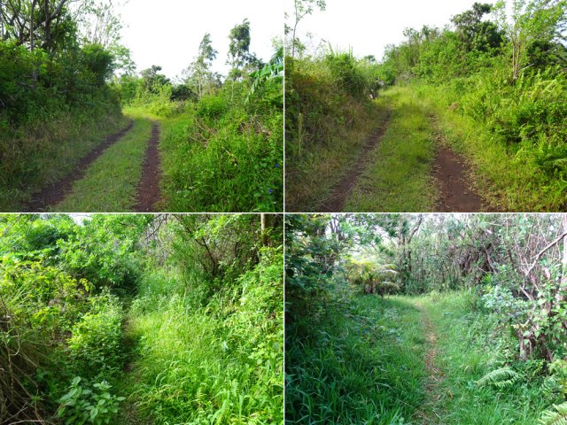 La piste et le sentier des Immortels reliant les deux rues