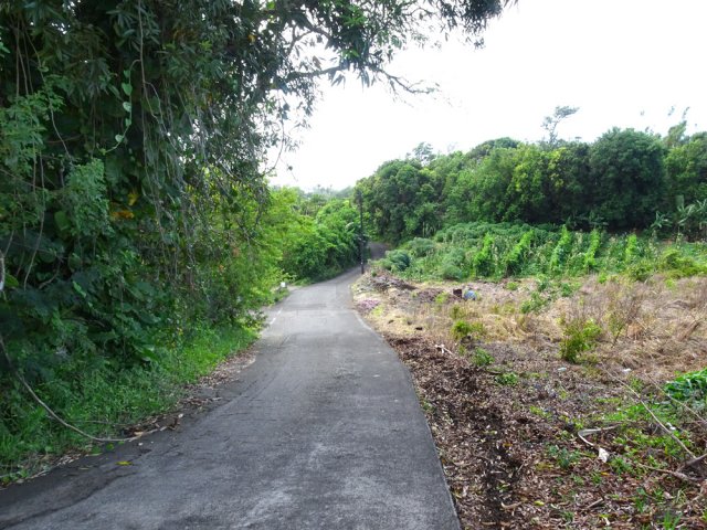 Quelques zones accueillent encore des cultures pour quelques années