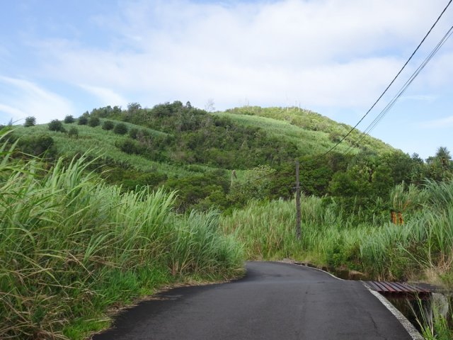 Le Chemin des Magnolias descend en direction du Piton Lambert