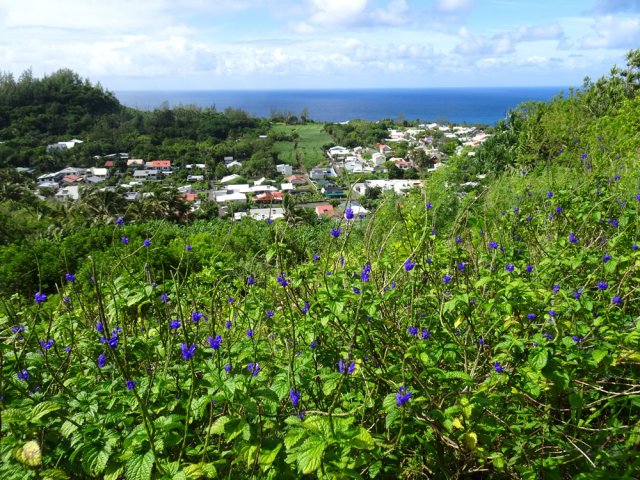 On domine le village de Vincendo bordé par l'océan