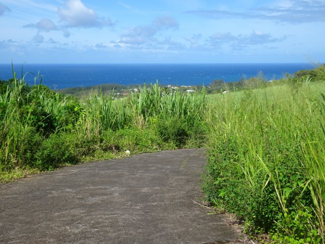 On ne quitte plus l'océan des yeux avant de retrouver la route