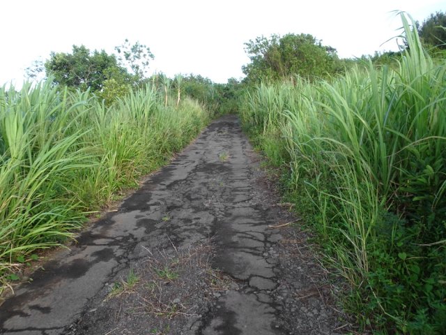 Tout le goudron n'a pas été emporté par les pluies
