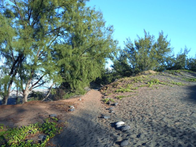 Le sentier littoral, très sableux et bordé de galets