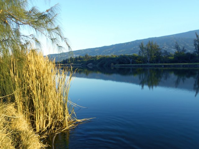 Petit coup d’œil sur l'étang avant de partir vers Bel Air