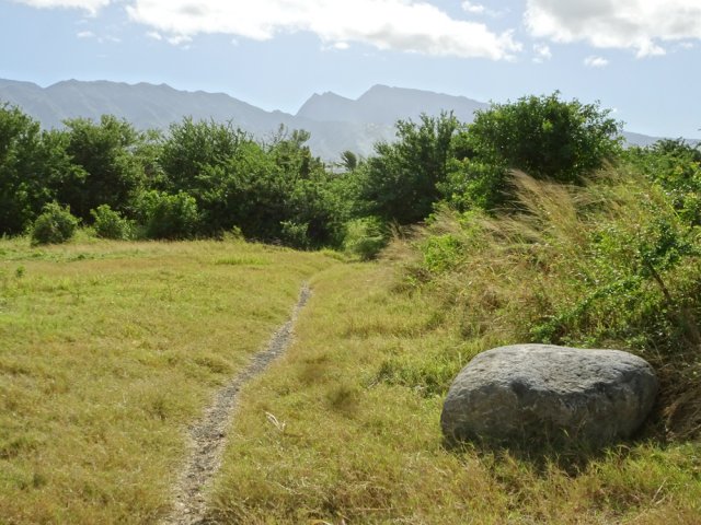 Emprunter le sentier après avoir traversé le terrain de sport