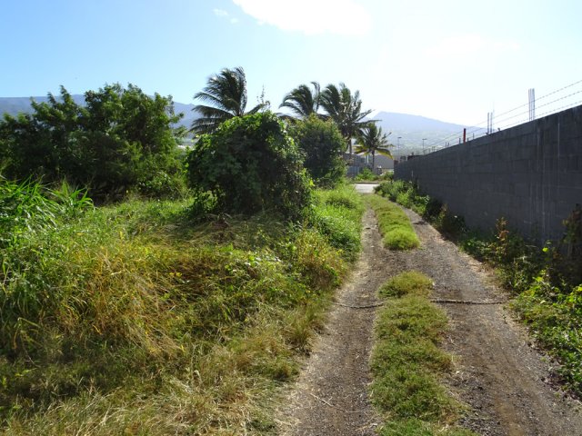 Fin du raccourci juste avant le gué sur la Ravine du Gol