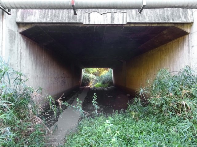 Arrivée au pont de la RN1, souvent inondé