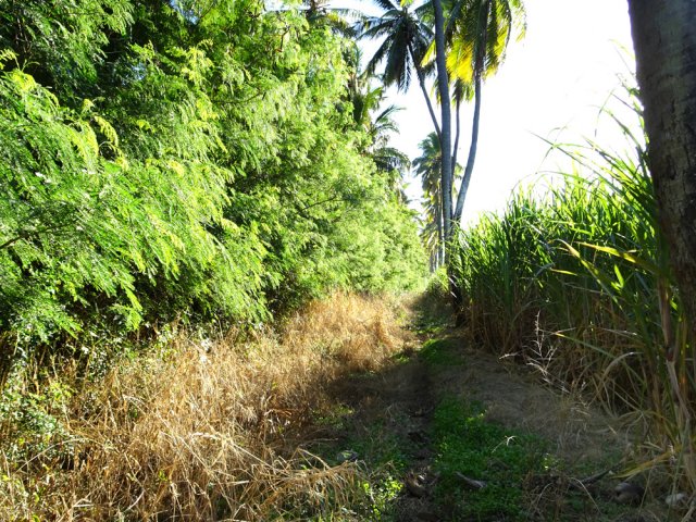 Les 100 premiers mètres de la piste ne sont pas toujours nettoyés