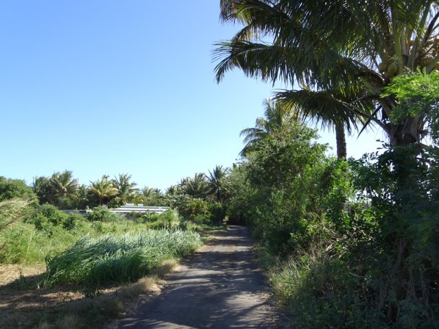 La route des Sables vers les sentiers de l'étang