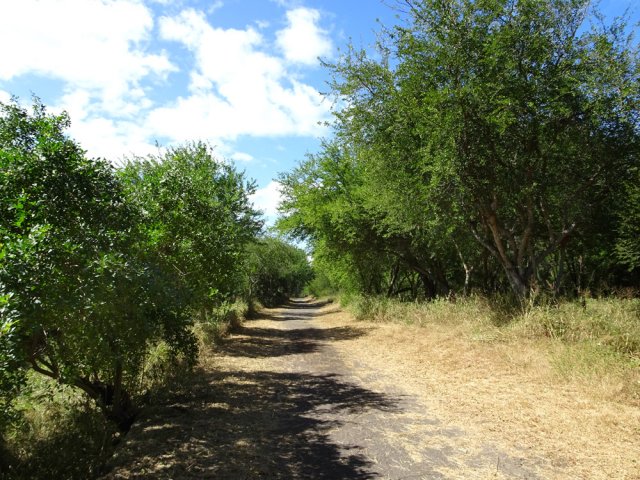Repartir vers la Ravine du Gol par la piste