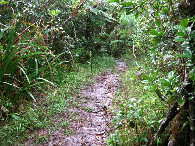 D'autres longues portions boueuses