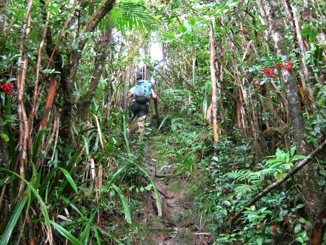 Moins de boue dans les pentes glissantes