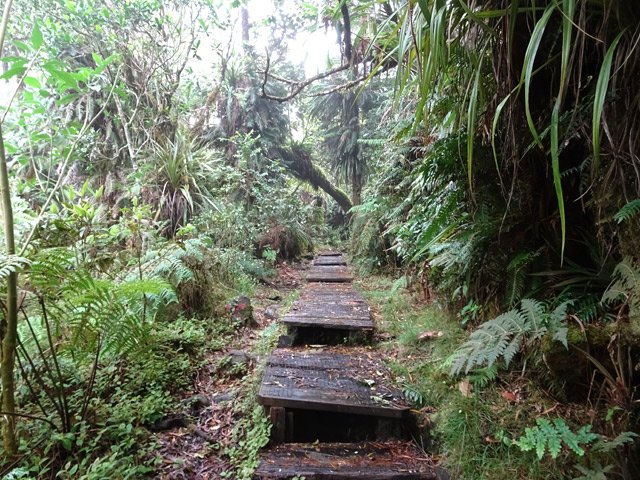 Presque tout le sentier de l'Ecole Normale s'effectue sur planchers