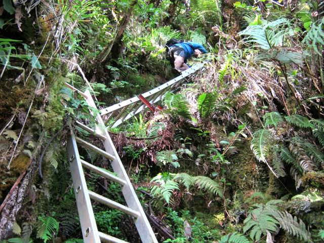 Un passage avec échelles durant la descente vers la Ravine Mazerin