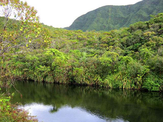 Le barrage de captage près du Morne du Bras des Lianes