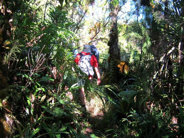 Une autre idée du sentier, en partie sec, mais avec végétation