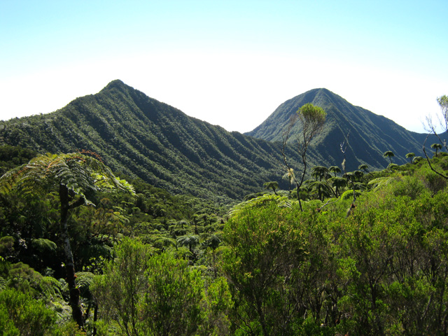 Le Pic des Lianes et plus loin, le Morne du Bras des lianes