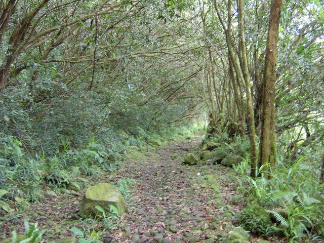 Le chemin empierré qui mène à Camp Michel