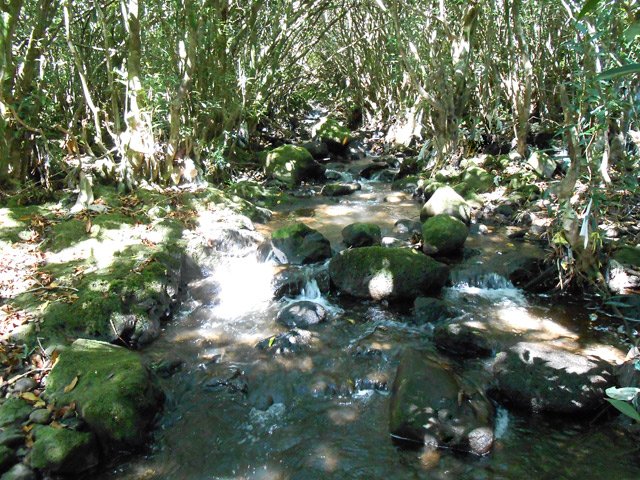 Un petit coup d’œil en amont sur la Ravine de l’Harmonie avant de poursuiivre