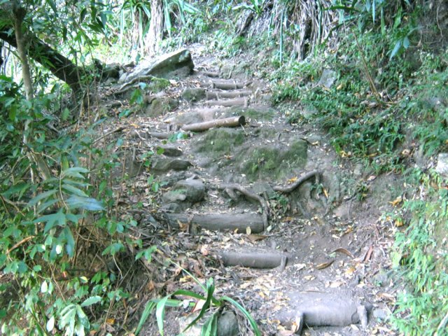 Une autre portion du sentier avec des marches en bois