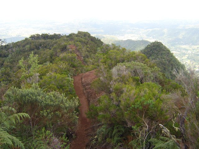 Une partie du Sentier de la Grande Jument en ligne de crête