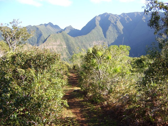 Une autre portion plate