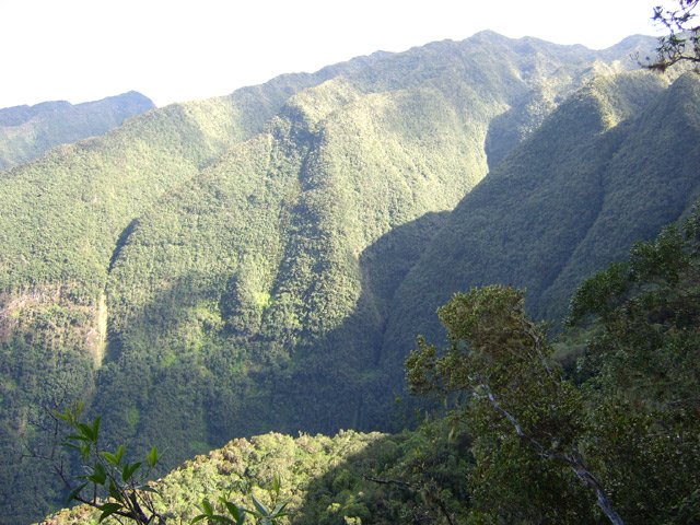 La Crête du Bras long rejoint la Chaîne du Dimitile