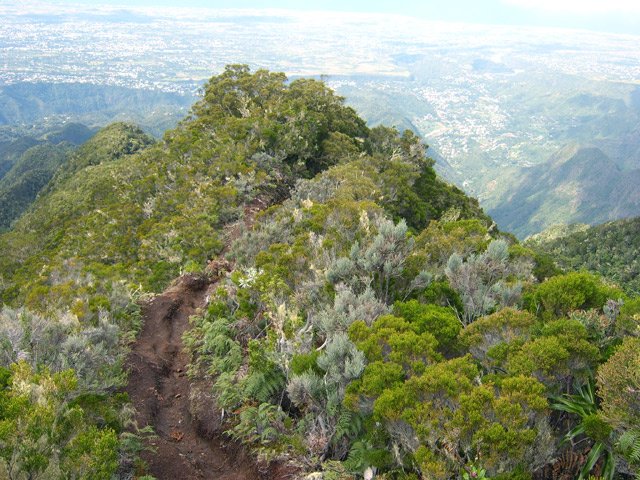 Sentier creusé par les passages sur la crête