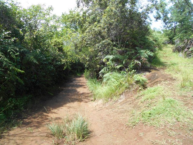Le sentier de droite est un ancien sentier d'où l'on a de beaux points de vue