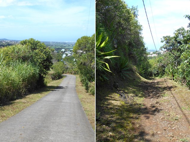 L'Impasse des Goyaviers puis le sentier qui la prolonge
